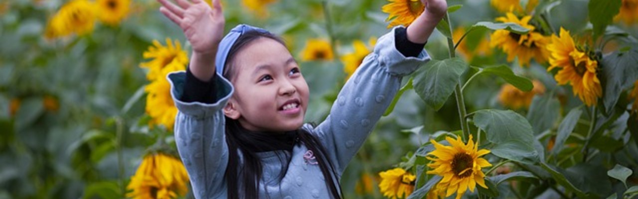 Vibrnz Event Page Banner